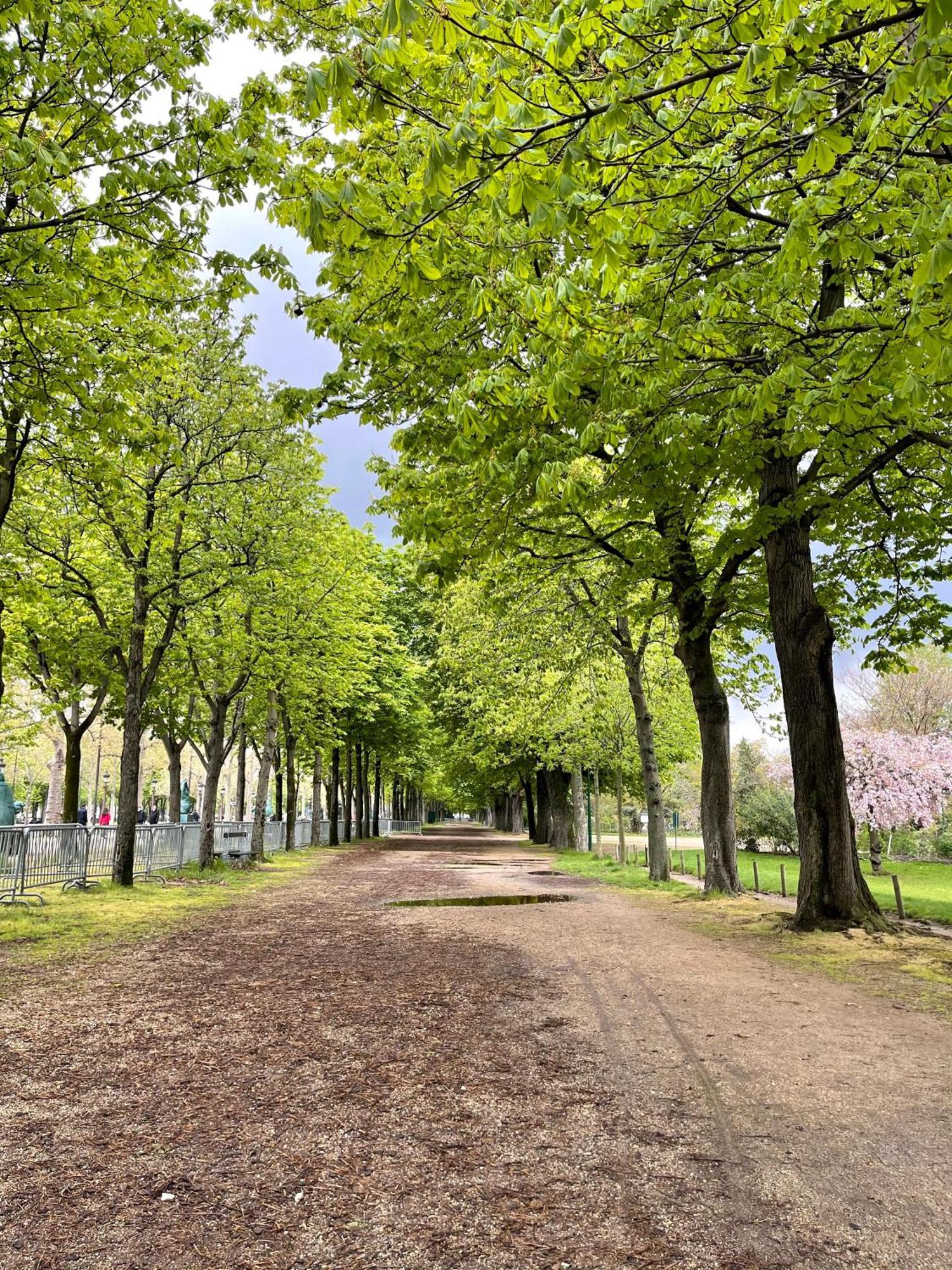Avenue Montaigne Bienvenue
