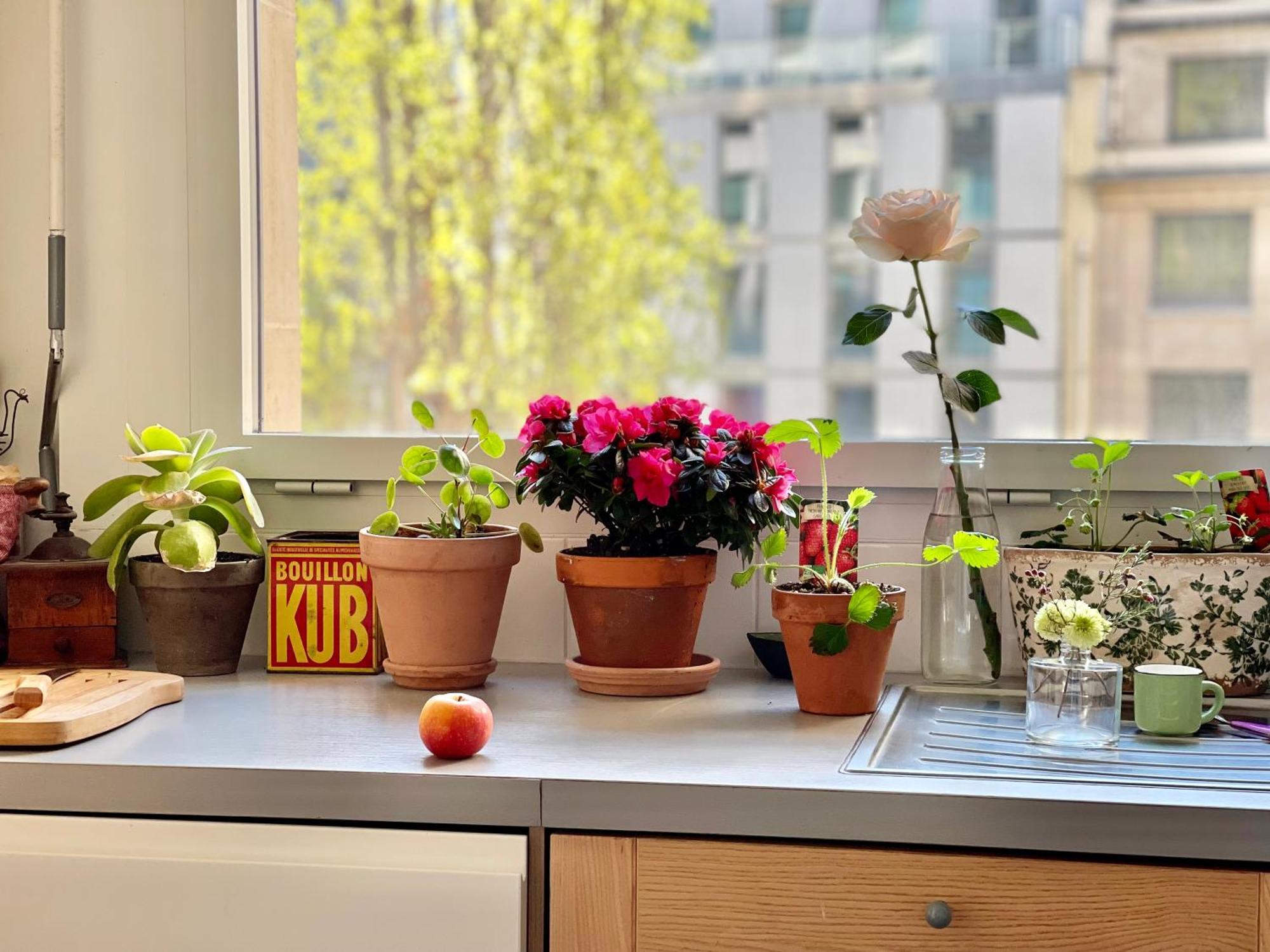 Avenue Montaigne Bienvenue Appartement Parijs