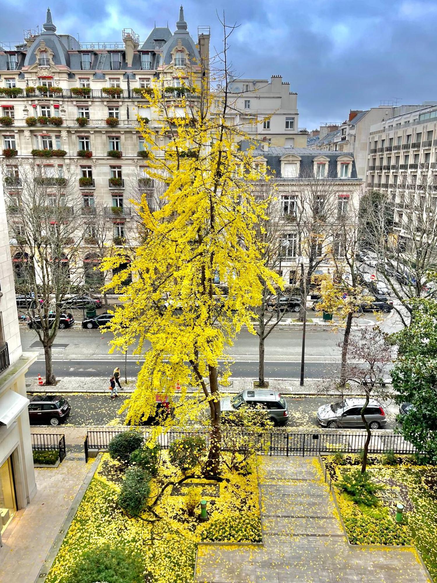 Avenue Montaigne Bienvenue